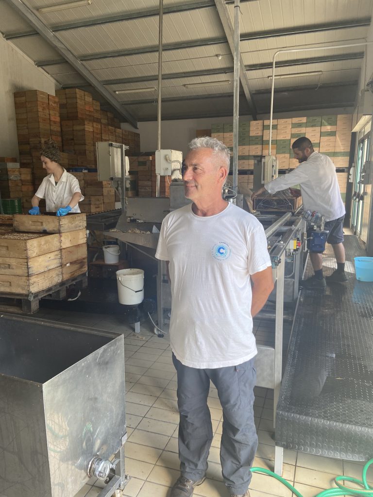 italiaanse honing, natuurlijke honing